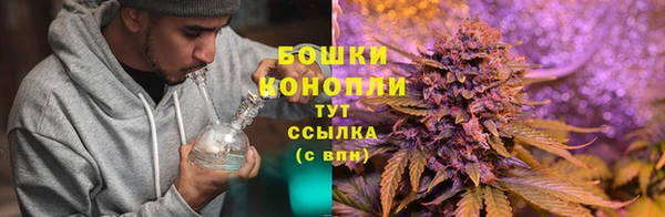 MDMA Premium VHQ Горнозаводск