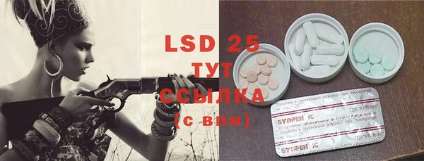 стаф Вяземский