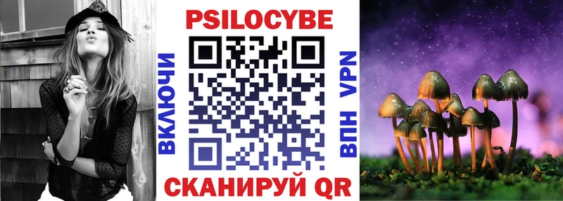 закладки  Заволжье  Псилоцибиновые грибы Psilocybine cubensis 